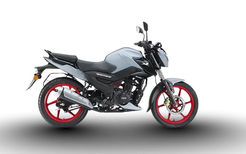 Nerdo Grey (igo)- Raider 125
